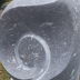 Grabstein Blumenmotiv